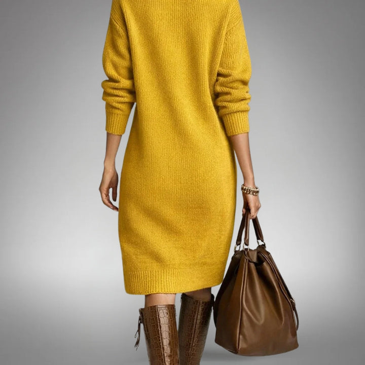 Quinn Sophisticated High Neck Dress