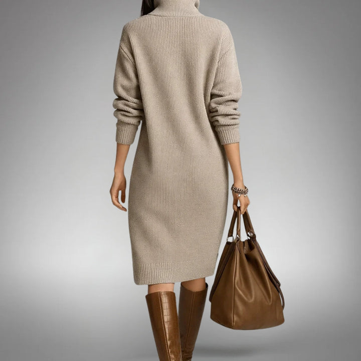 Quinn Sophisticated High Neck Dress